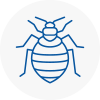 Bed Bug Extermination In West Kensington