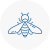 Bee Nest Removal West Kensington