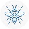 West Kensington Hornet Nest Removals