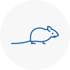 Mice Exterminators In West Kensington