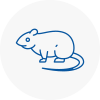 Rat Control West Kensington