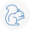 West Kensington Rodent Removals